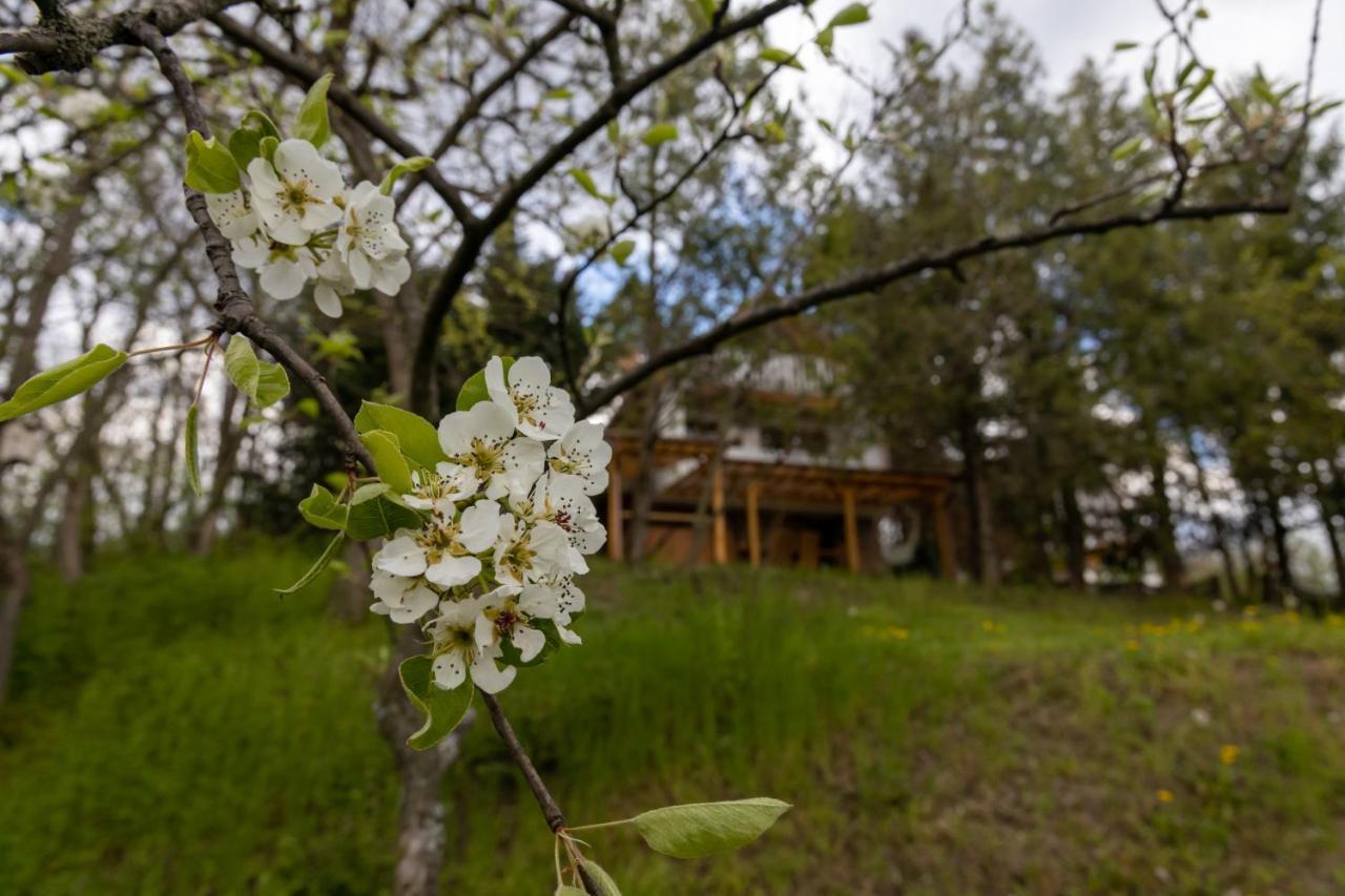 Egercottages - Csillag Cottage Buitenkant foto