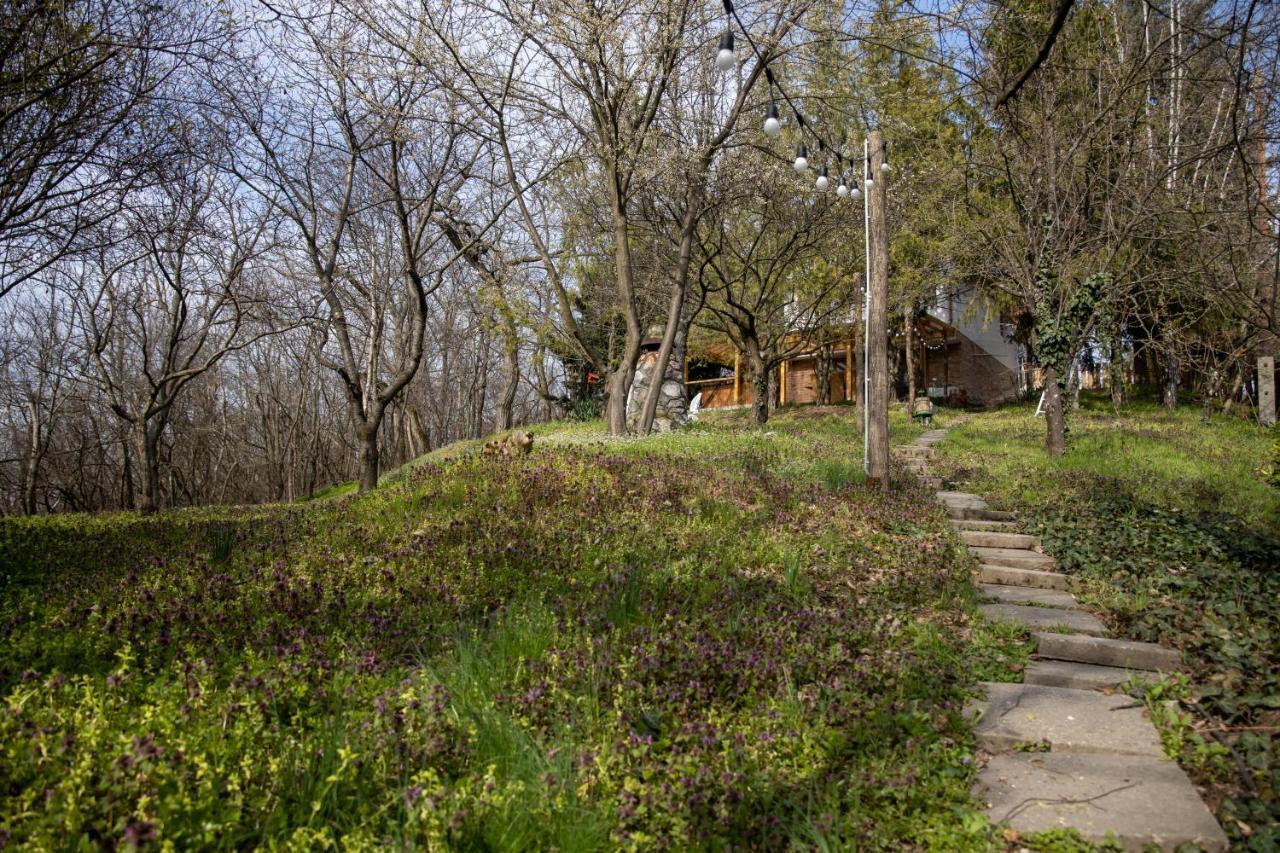 Egercottages - Csillag Cottage Buitenkant foto